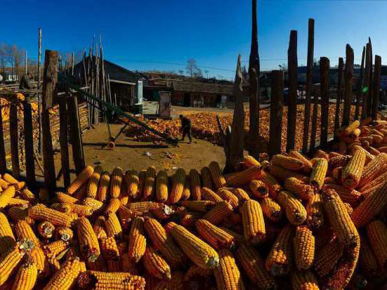 如何做好“三农”工作？来看今年中央一号文件十大看点