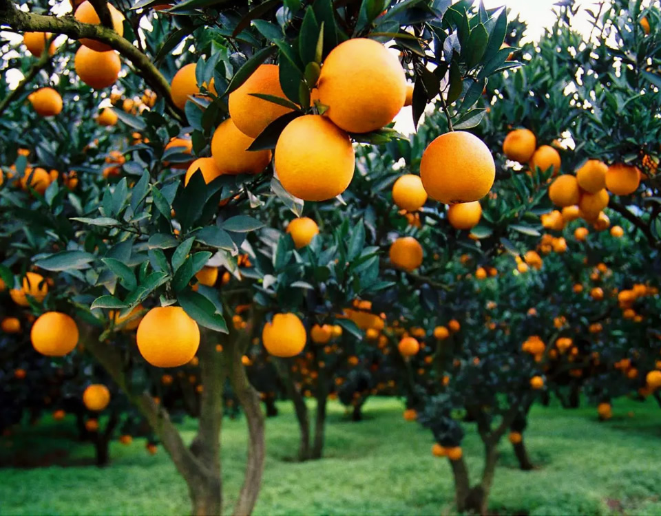 广州科技有限公司