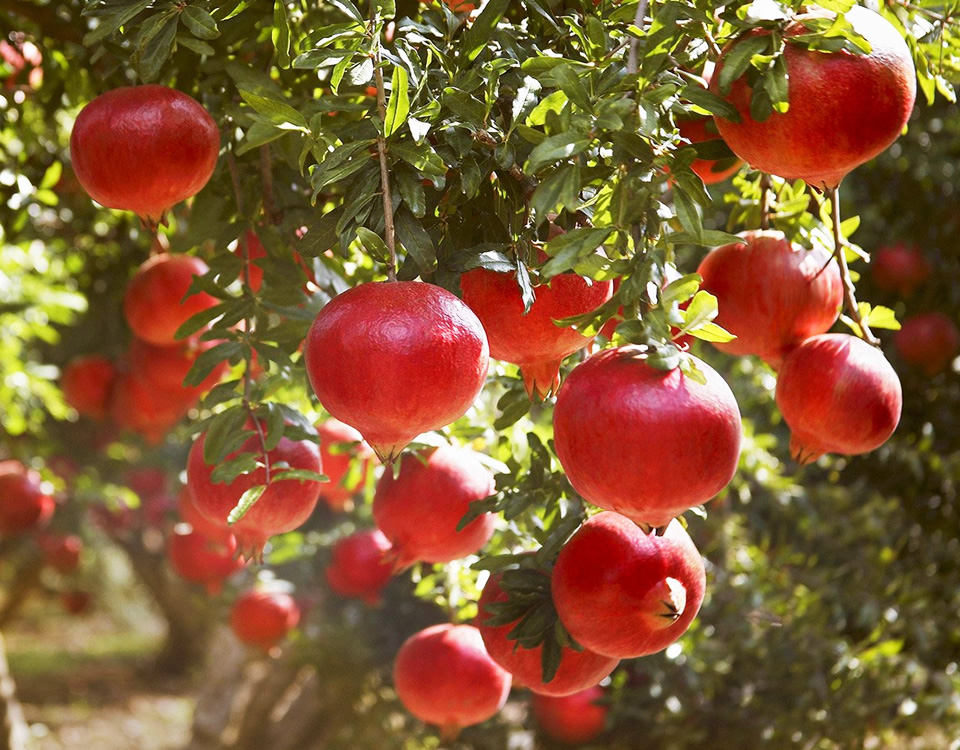 广州科技有限公司